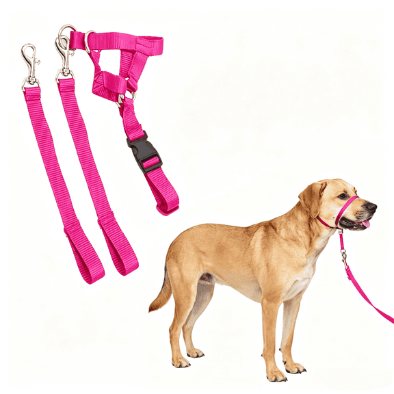 No Pull Dog Training Headcollar Halter with Padded Nose Loop, Quick Snap Fit, Comes with 1.5M Matching Leash