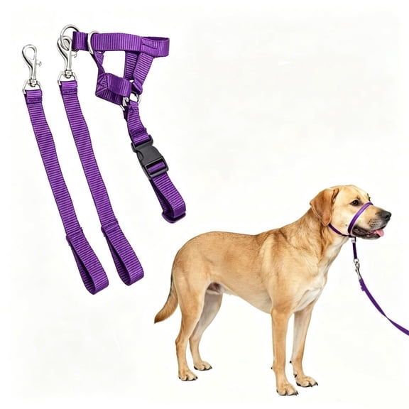 No Pull Dog Training Headcollar Halter with Padded Nose Loop, Quick Snap Fit, Comes with 1.5M Matching Leash