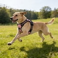thumbnail image 1 of No-Pull Escape-Proof Dog Harness with Handle, Reflective Adjustable Mesh Vest for Large Dogs, Breathable Padded Training & Walking Harness, Pink, 1 of 6