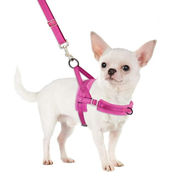 No Pull Fuchsia Small Dog Harness and Leash Set with Foldable Drinking Bowl
