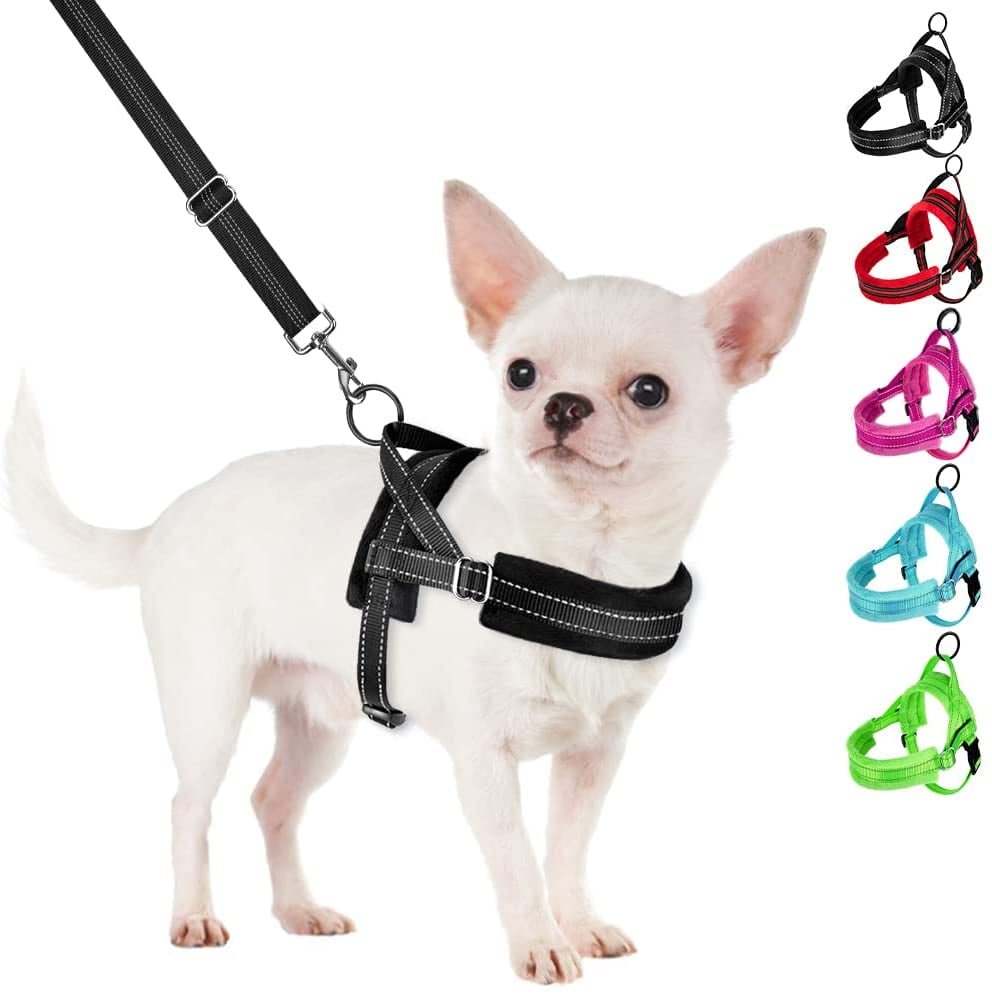 No Pull Small Dog Harness and Leash Set, Puppy Soft