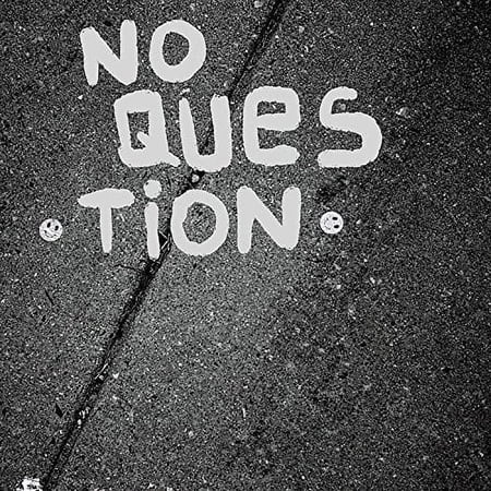 No Question - No Question - Music & Performance - Vinyl [7-Inch]