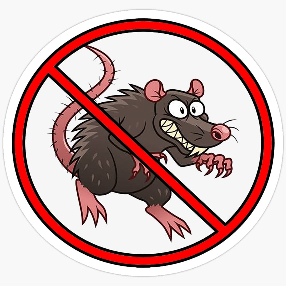 No Rats Sticker Phone Decal Water Bottle Stickers Car Decals, Laptop ...