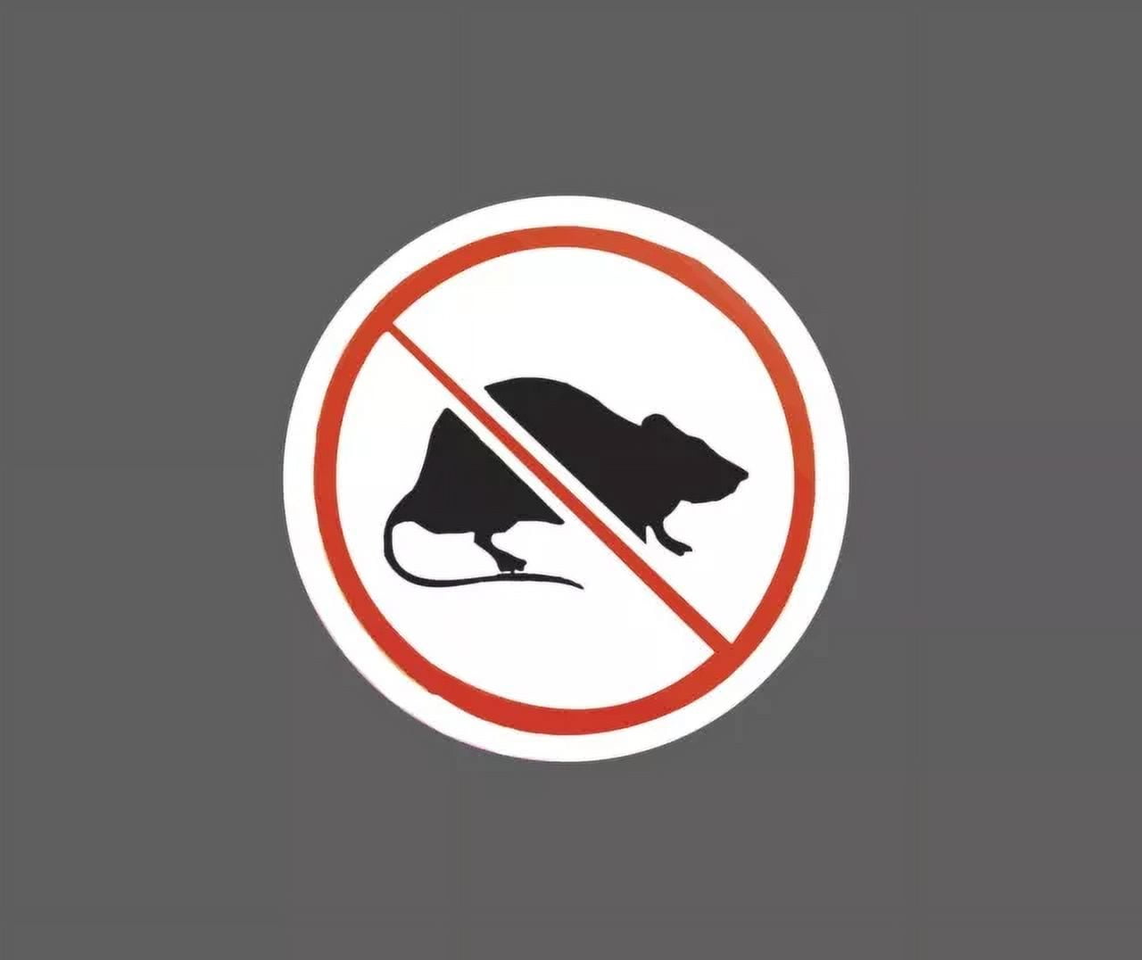 No Rats Sticker Snitch Waterproof Sticker Phone Decal Water Bottle ...