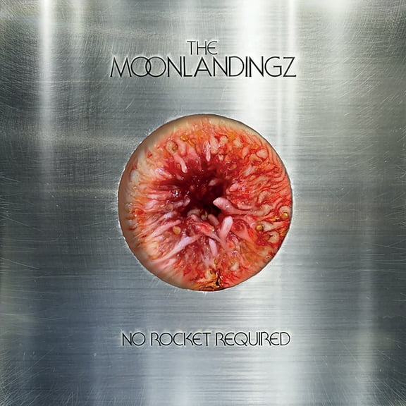 The Moonlandingz - No Rocket Required - Music & Performance - CD