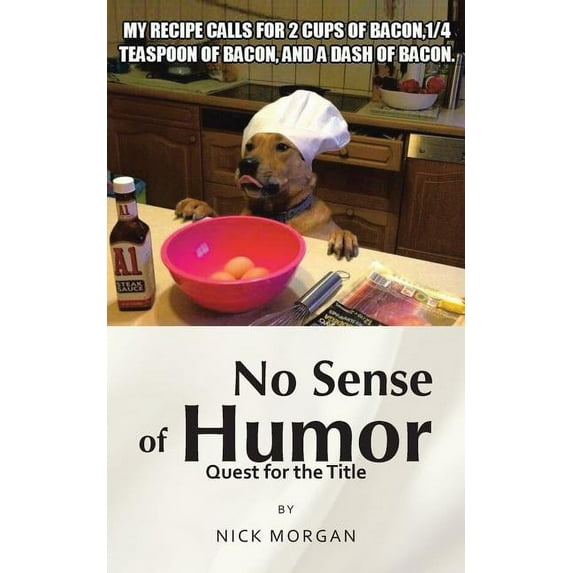 No Sense of Humor: Quest for the Title (Paperback) by Nick Morgan