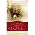 thumbnail image 1 of Pre-Owned No Small Miracles: Heartwarming, Humorous, and Hopefilled Stories from a Pediatric Chaplain (Paperback) 084992975X 9780849929755, 1 of 1