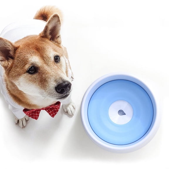 No Spill Water Bowl for Dog Slow Feeder Dish Dog Feeder Pet Slow Feeder Bowl Drinking Feeder Dog Water Bowl C