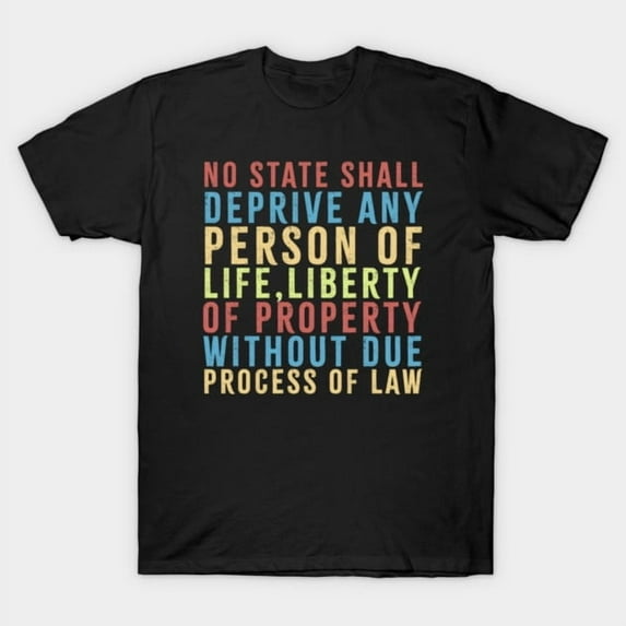 No State Shall Deprive Any Person Of Life Liberty Or Property Without Due Unisex T-Shirt - Perfect Birthday Present
