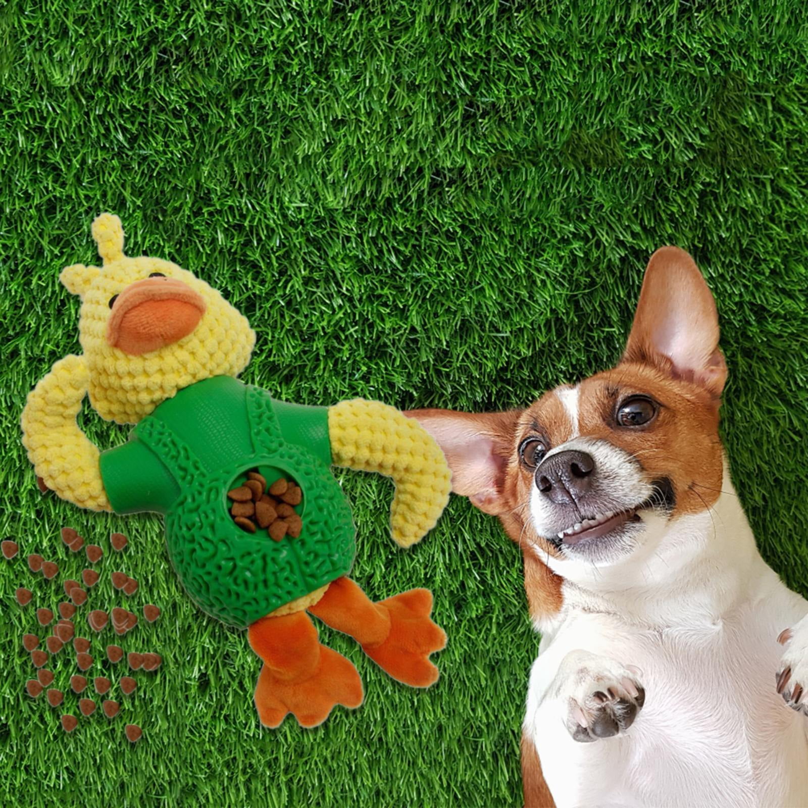 No Stuffing Dog Natural Rubber Dog for Small Dog Playpen for Cats