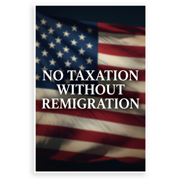 "No Taxation Without Remigration" American Flag Patriotic 12x18 US Made Poster