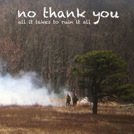 No Thank You - All It Takes To Ruin It All - Music & Performance - Vinyl