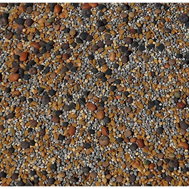 NoTill Cover Crop 13Seed Mix (1 lb. Bag) [50 Clovers Plus Fenugreek