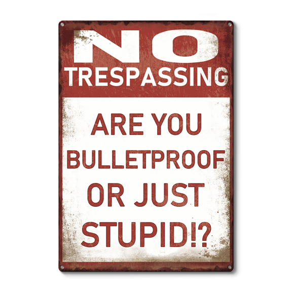 No Trespassing Are You Bulletproof Or Stupid Metal Sign, Funny Outdoor Security Decor, Retro Warning Sign, Size 8x12