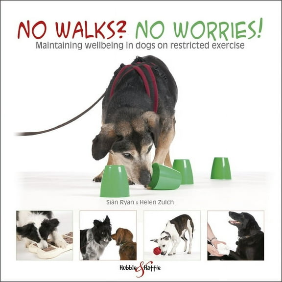 No Walks? No Worries! : Maintaining Wellbeing in Dogs on Restricted Exercise (Paperback)