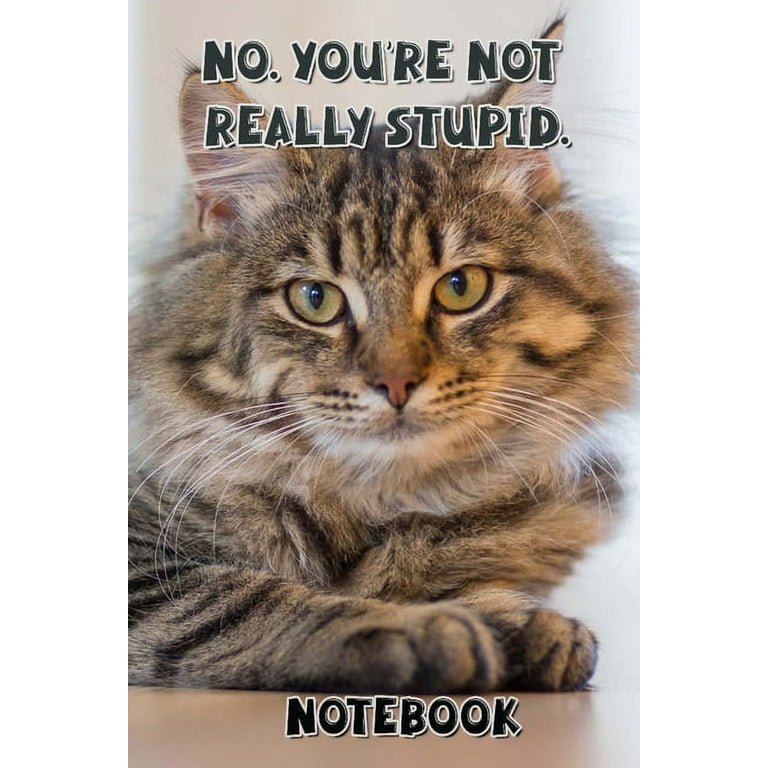Bullet Journal — Catnerd's Blog — Crazy Cat Nerd