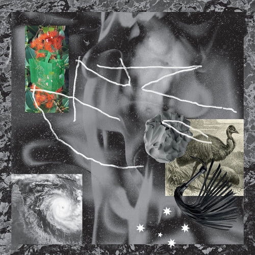 No Zu - Afterlife - Music & Performance - Vinyl