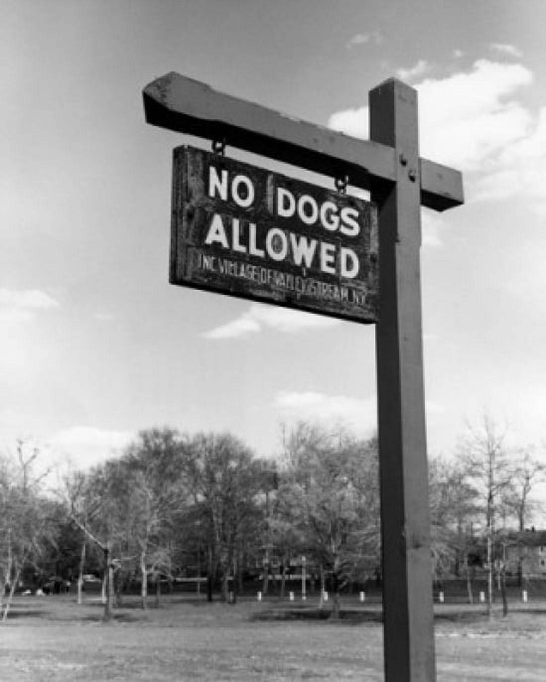 No dogs allowed in park low angle view Canvas Art - (18 x 24)