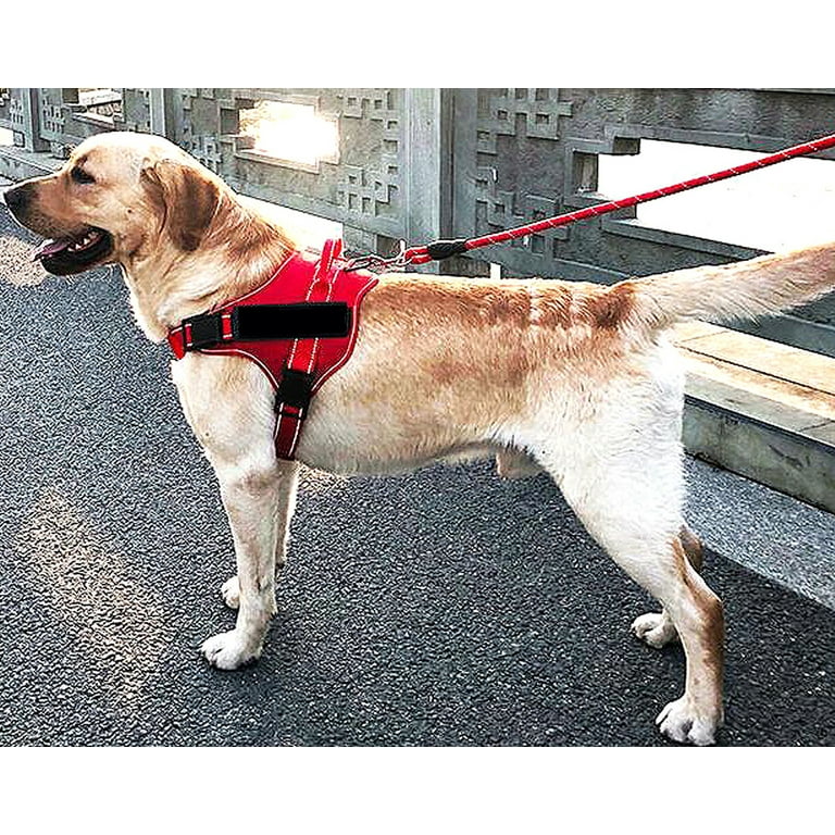 Beau pets easy walk harness discount