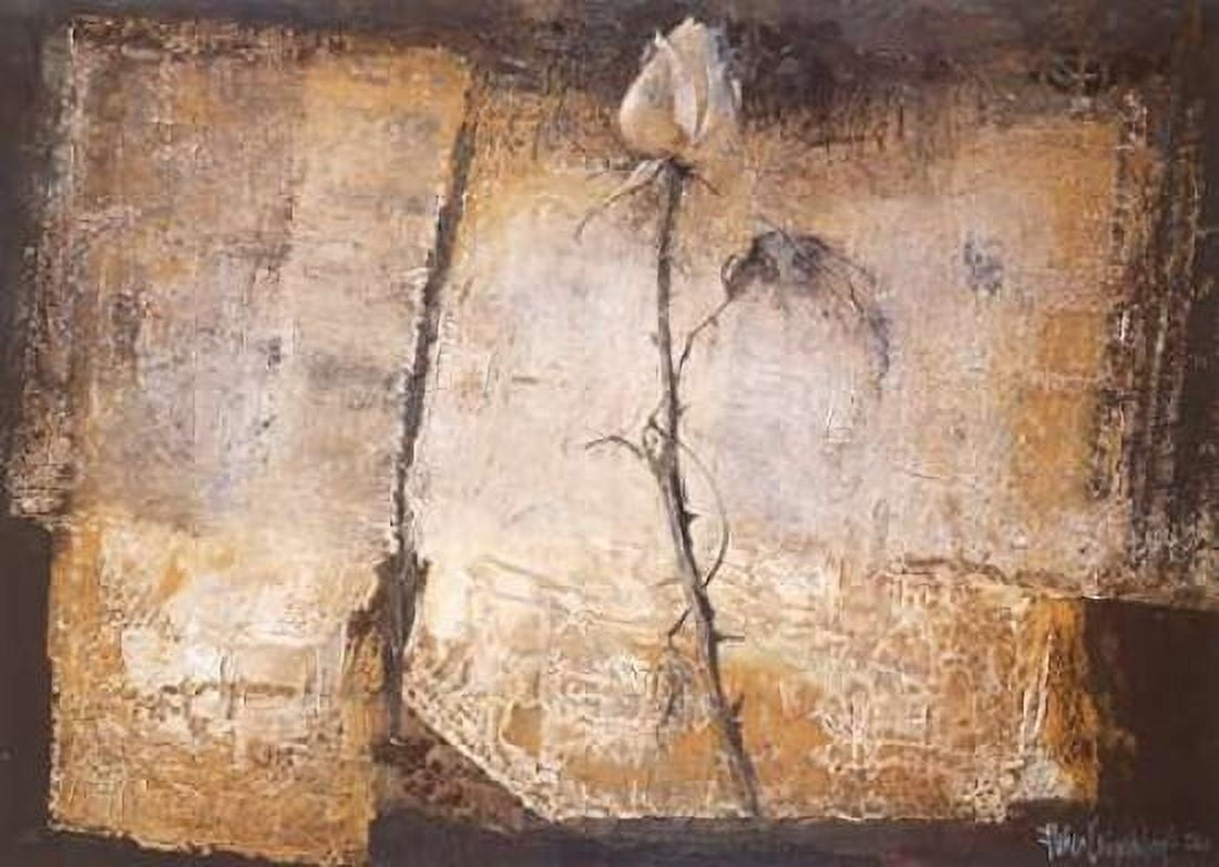 No rose without a thorn Canvas Art - Heleen Vriesendorp (20 x 28)