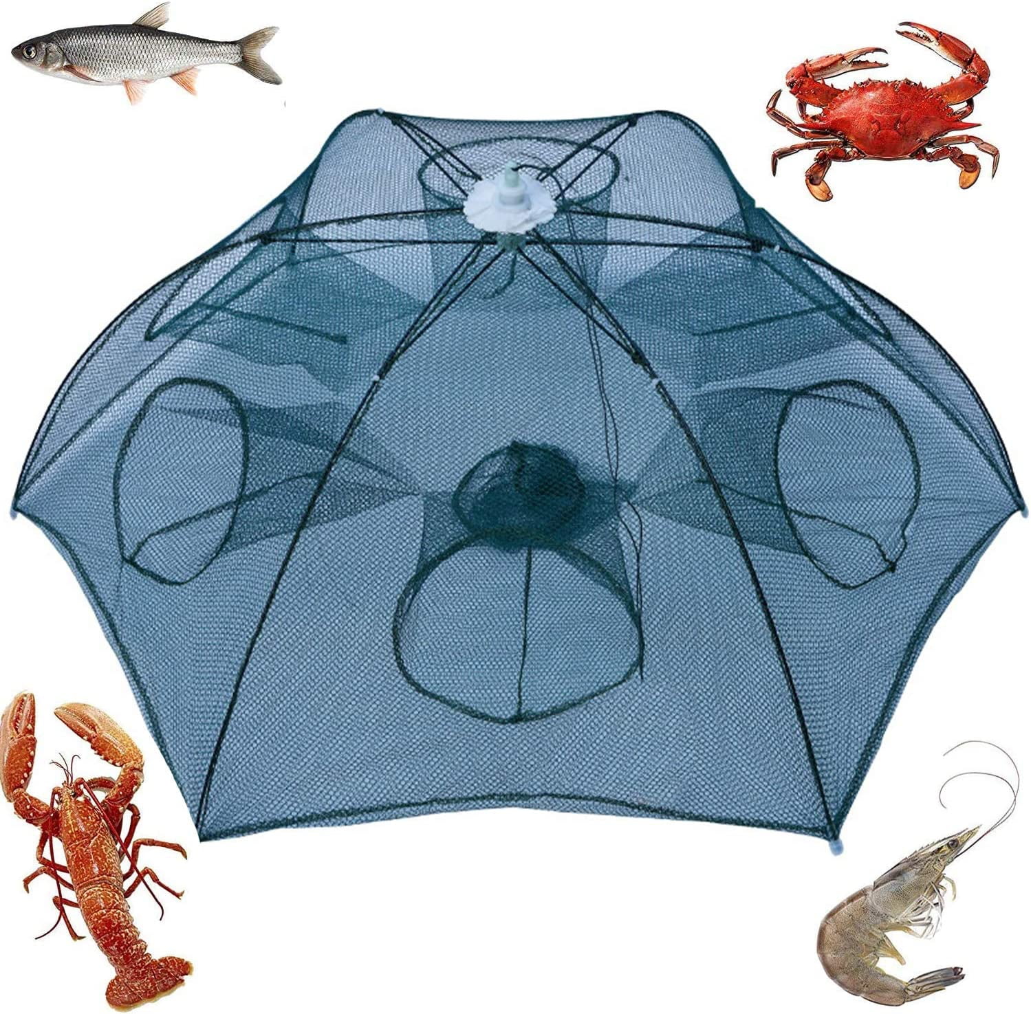 Noa Store Fishing Bait Trap  Fishing Net Trap Foldable Fish Minnow Carb  Crayfish Crawdad 