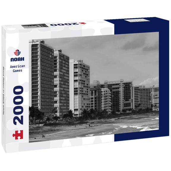 Noah Jigsaw Puzzle Boca Raton in black white 2000 pieces