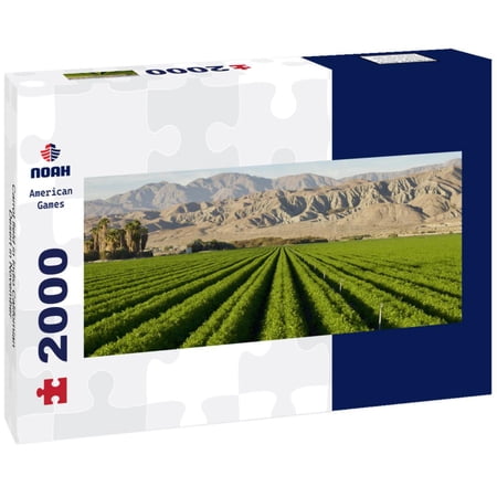 Noah Jigsaw Puzzle Carrot field in Indio Californian Desert in November panorama 2000 pieces