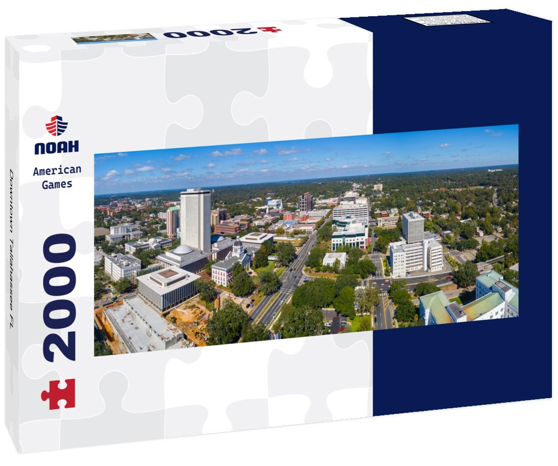Noah Jigsaw Puzzle Downtown Tallahassee FL panorama 2000 pieces