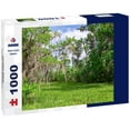 Noah Jigsaw Puzzle Louisiana Swamp Jean Lafitte National Historical