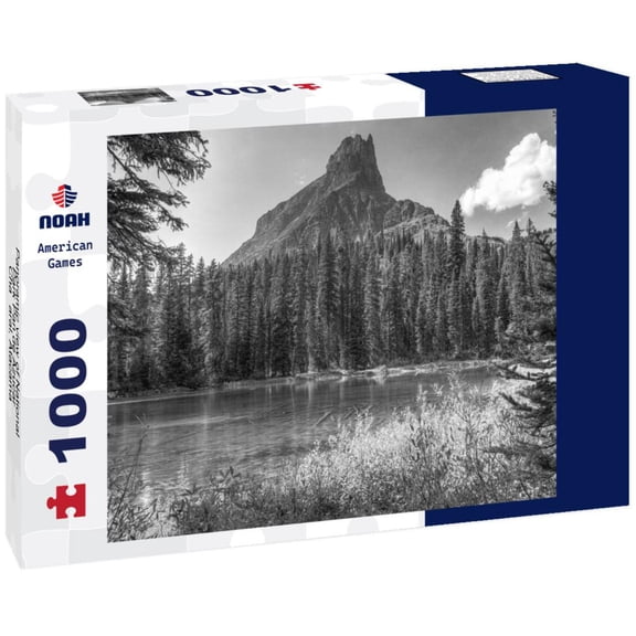 Noah Jigsaw Puzzle Panoramic view of National Park Pan de Azucar - Chaaral, Atacama - Chile in black white 1000 pieces