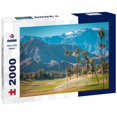 Noah Jigsaw Puzzle Scenic Palm Desert Landscape California. Winter