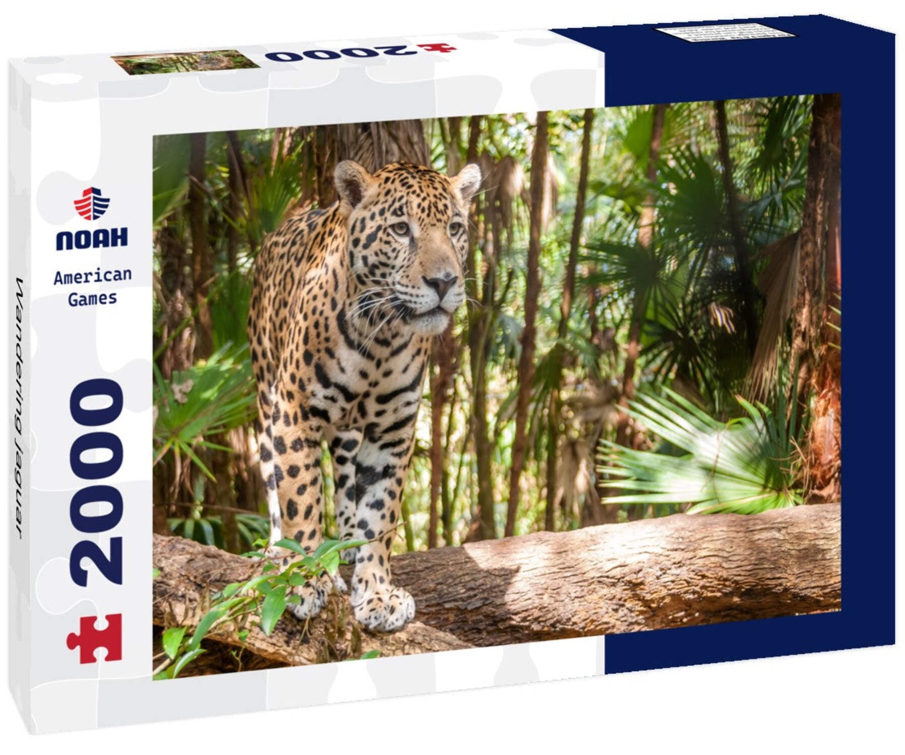 Noah Jigsaw Puzzle Wandering jaguar 2000 Pieces