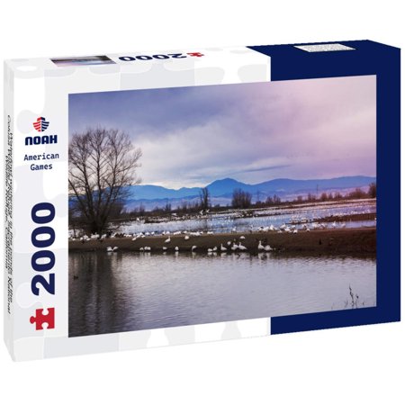Noah Jigsaw Puzzle Waterfowl wintering in the ponds of the Colusa Wildlife Refuge, Sacramento National Wildlife Refuge, California 2000 pieces