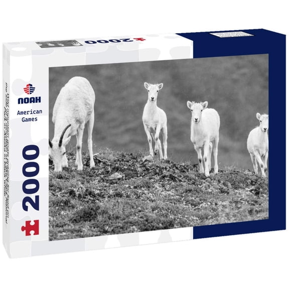 Noah Jigsaw Puzzle Wild mountain goats grazing for food on the side of a mountain in Lake Clark National Park in Alaska in black white 2000 pieces
