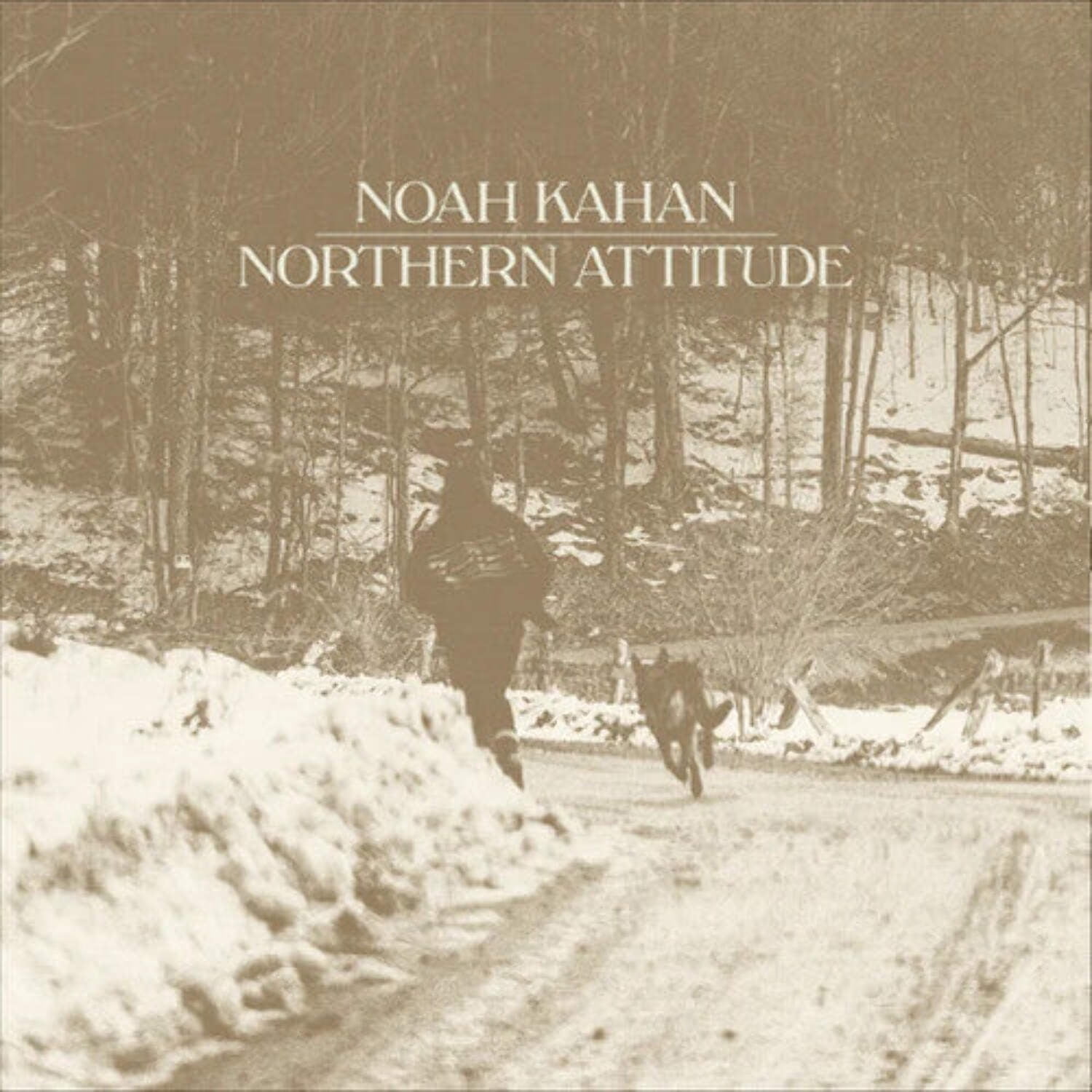 【新品未開封】Noah Kahan 限定 液体入りレコード 最新作 完売品 Noah Kahan - Northern Attitude - Black Ice Colored Vinyl with