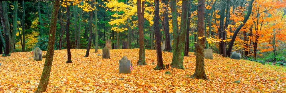 Noah Phelps grave in Revolutionary War cemetery in Autumn Austerlitz New York Canvas Art - Panoramic Images (27 x 9)