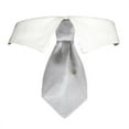thumbnail image 1 of Noah Shirt Collar - Silver - 2XL, 1 of 1