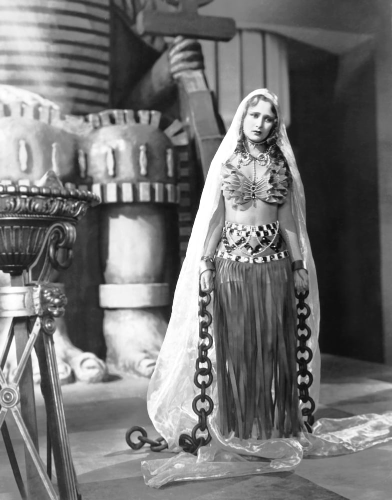 NoahS Ark Canvas Art - (16 x 20)