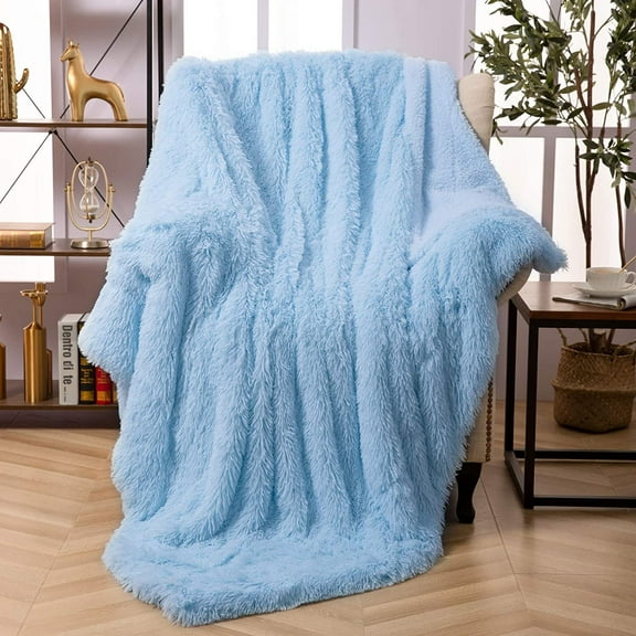 Noahas Shaggy Longfur Throw Blanket with Sherpa Warm Underside, Lightweight and Washable Kids Girls Room Decorative Blanket, 60''x80'', Light Blue