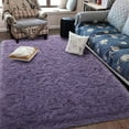thumbnail image 1 of Noahas Soft Fluffy Area Rug for Living Room Bedroom Shaggy Accent Carpets for Kids Girls Rooms Gray Purple,6x9ft, 1 of 7