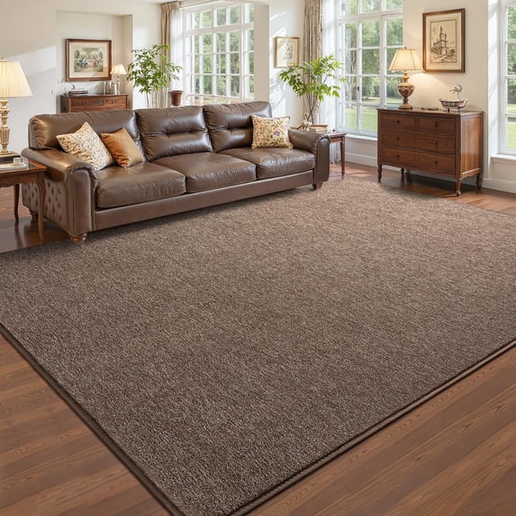 Noahas Soft Low Pile Rug Modern Area Rugs for Bedroom Living Room,Suitable for Boys Girls Teenagers and Adults with Super Soft Touch , Brown-white , 5' x 8'