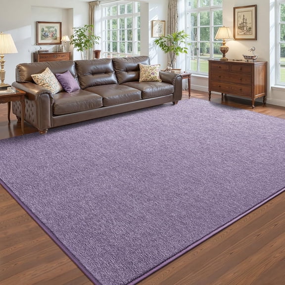 Noahas Soft Low Pile Rug Modern Area Rugs for Bedroom Living Room,Suitable for Boys Girls Teenagers and Adults with Super Soft Touch , Purple , 4' x 6'