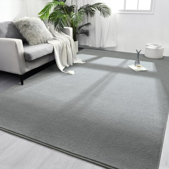 Noahas Soft Low Pile Rug Modern Area Rugs for Bedroom Living Room,Suitable for Boys Girls Teenagers and Adults with Super Soft Touch , Gary , 6' x 9'