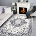 thumbnail image 1 of Noahas Vintage Area Rug Modern Bohemian Rug, Gray, 4' x 6', 1 of 7