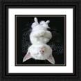 thumbnail image 1 of Nob, R. 15x15 Black Ornate Wood Framed with Double Matting Museum Art Print Titled - Cat Yoga III, 1 of 4