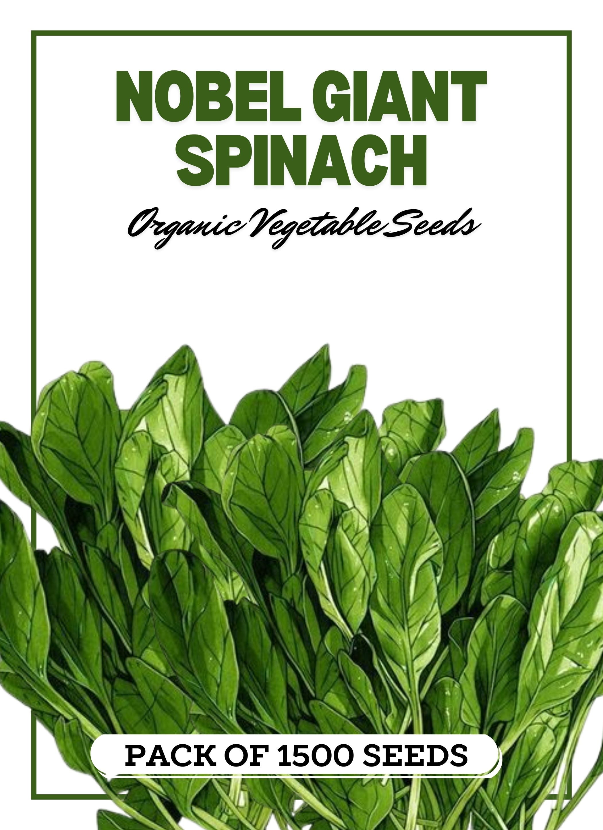 Nobel Giant Spinach (1500 Unit) | Non-GMO | Organic | | Fast-Growing ...