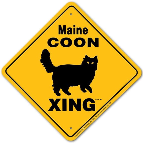 Noble Beasts Graphics 20693 Maine Coon Xing Sign Aluminum 12 in X 12 in 3