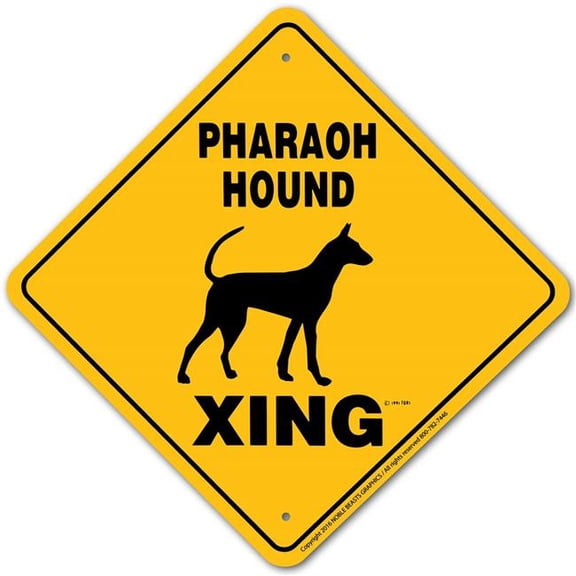Noble Beasts Graphics 20641 Pharaoh Hound Xing Sign Aluminum 12 in X 12 in 1