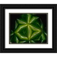 thumbnail image 1 of Noble Gardner, Nancy 14x12 Black Ornate Wood Framed with Double Matting Museum Art Print Titled - NY, Slingerlands A kaleidoscope of  iris leaves, 1 of 4