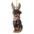 thumbnail image 1 of Noble Gems Rottweiler with Antlers Glass Ornament, 1 of 6